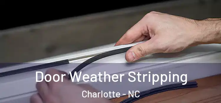Door Weather Stripping Charlotte - NC