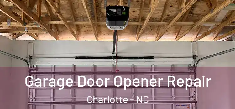  Garage Door Opener Repair Charlotte - NC