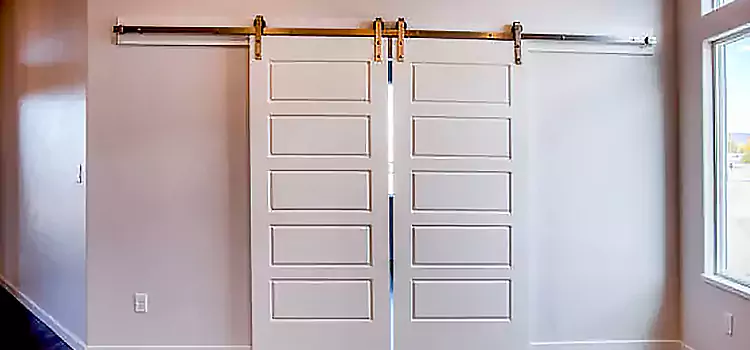 Glass Barn Door with Installation Hardware Kit Charlotte